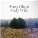 Stray Ghost - Mały Wilk