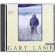 Gary Lamb - Distant Fields